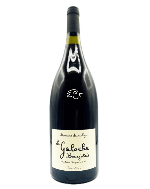 Saint-Cyr - La Galoche Rouge 2024 Magnum - Avintures