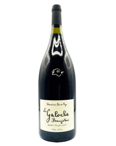 Saint-Cyr - La Galoche Rouge 2024 Magnum - Avintures