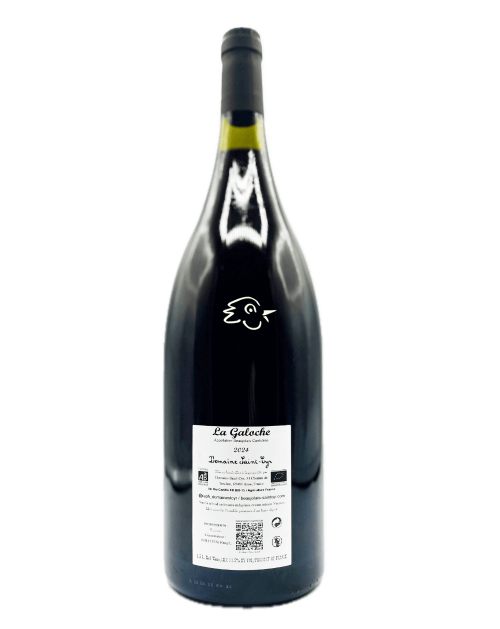 Saint-Cyr - La Galoche Rouge 2024 Magnum - Avintures