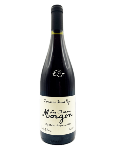 Saint-Cyr - Morgon Les Charmes 2024 - Avintures