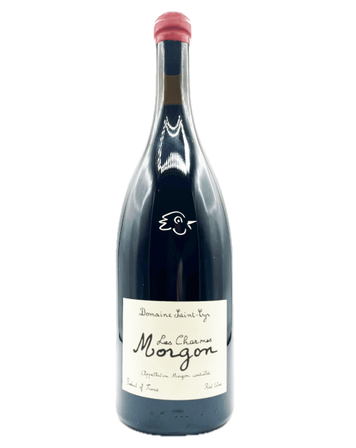 Saint-Cyr - Morgon Les Charmes 2024 Magnum - Avintures