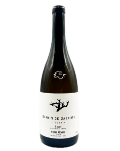 Domaine Pierre Ménard - Quarts des Gastines 2024 - Avintures