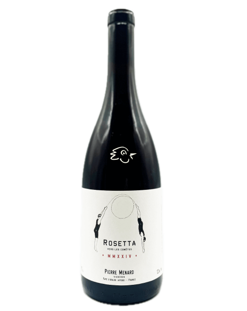Pierre Ménard - Rosetta MMXXIV - Avintures