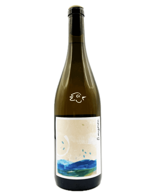 La Chaume des Lies - Bouzeron 2023 - Avintures