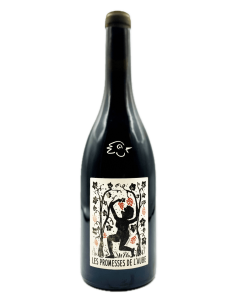 Champagnes Cordeuil - Les Promesses de l'Aube Rouge 2023 - Avintures