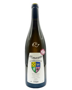 Etienne Courtois - Romorantin 2022 - Avintures