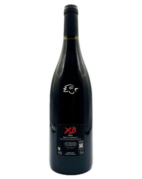 La Terrasse d'Elise - XB 2024 - Avintures