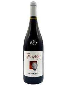 La Terrasse d'Elise - Pradelou 2023 - Avintures