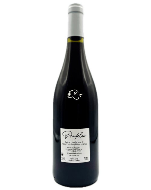 La Terrasse d'Elise - Pradelou 2023 - Avintures