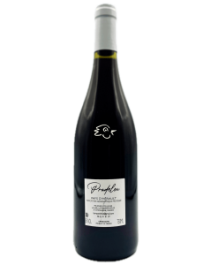 La Terrasse d'Elise - Pradelou 2023 - Avintures