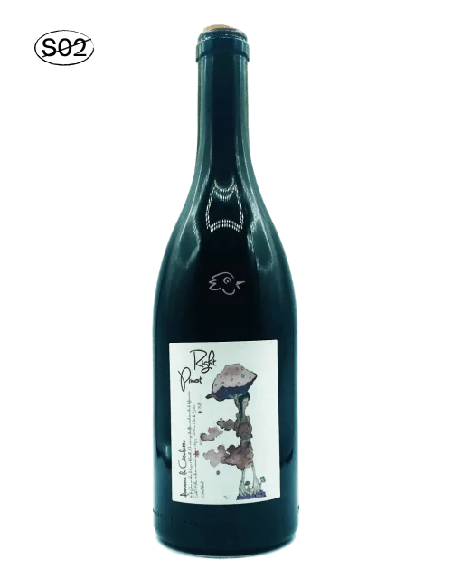 Domaine La Côtelette - Benoit Kilian - Right Pinot 2020 Magnum - Avintures