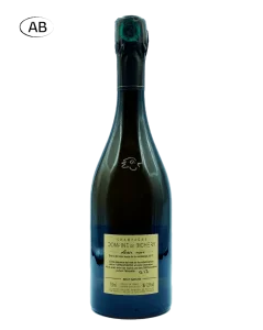 Domaine de Bichery - Le Blanc de Noir R17 - Avintures