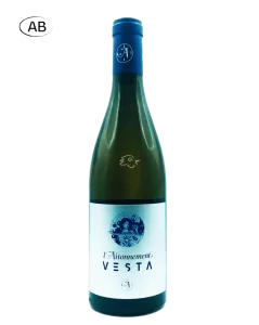 Vesta 2021