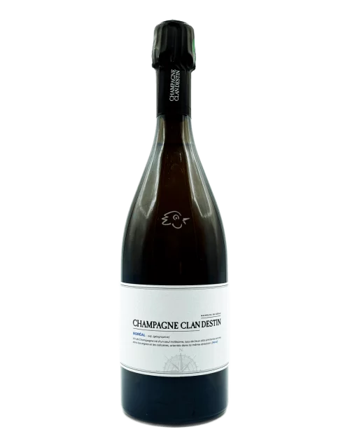 Champagne Clandestin - Pinot Noir Boréal R20 - Avintures