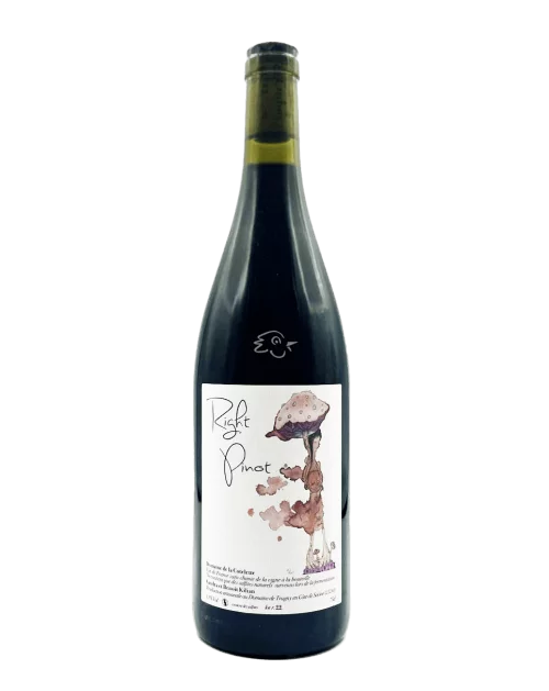 Domaine La Côtelette - Benoit Kilian - Right Pinot 2022 - Avintures