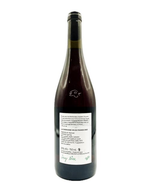 Icy Liu - La Caravane Rosé 2022 - Avintures