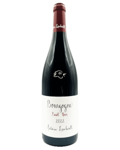 Antoine Lienhardt - Bourgogne Pinot Noir 2022 - Avintures