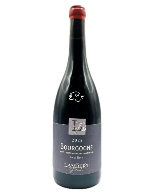 Florent Lambert - Bourgogne Rouge 2022 - Avintures