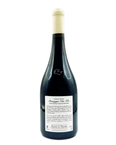 Domaine du Chancelier - Bourgogne Côte d'Or En Coulezain 2020 - Avintures