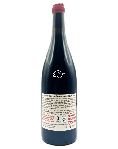 Domaine Rostaing Tayard - Le Coeur des Hommes 2022 - Avintures