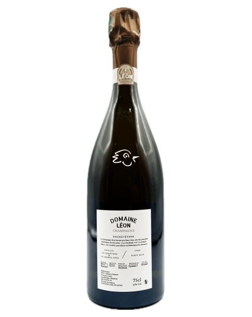 Domaine Léon - Pinot Noir Enchevêtrer R21 - Avintures