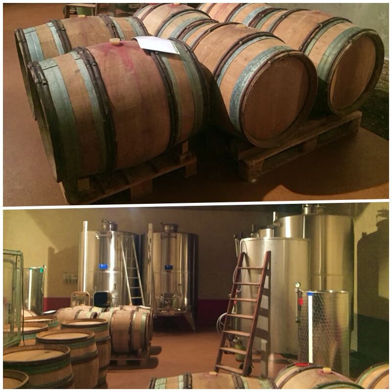 Domaine Paul Janin Fils Cave